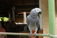 Vilamendhoo / Maldives - Vilamendhoo - Septembre 2008