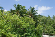 Vilamendhoo / Maldives - Vilamendhoo - Septembre 2008