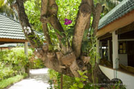 Vilamendhoo / Maldives - Vilamendhoo - Septembre 2008