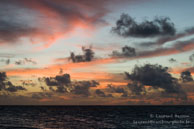 Vilamendhoo / Maldives - Vilamendhoo - Septembre 2008