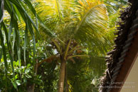 Vilamendhoo / Maldives - Vilamendhoo - Septembre 2008