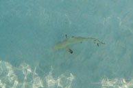 Vilamendhoo / Maldives - Vilamendhoo - Septembre 2008