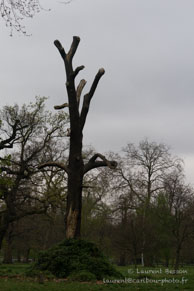 Kensington Garden / Londres - Avril 2009