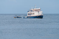 Croisière Plongée / Sipadan Water Village - Mabul Island - Bornéo - Juin 2009