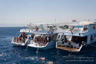 Site de plongée / Safaga Egypte - Septembre 2009