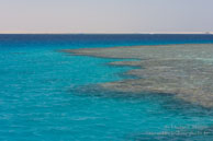 Panorama Reef / Safaga Egypte - Septembre 2009