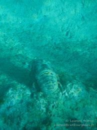 Playa Ancon / Trinidad - Cuba - Mars 2010