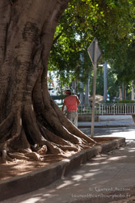 La Havane / La Havane - Cuba - Mars 2010
