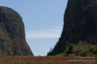 Viñales / Viñales - Cuba - Mars 2010