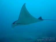 Siddhartha Dive Resort - Bali - Mai 2012