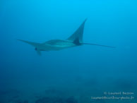 Siddhartha Dive Resort - Bali - Mai 2012