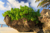 Nungwi Beach / Zanzibar - Septembre 2013