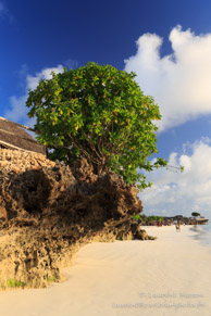 Nungwi Beach / Zanzibar - Septembre 2013