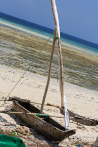 Kizimkazi Dimbani / Zanzibar - Septembre 2013