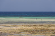 Kizimkazi Dimbani / Zanzibar - Septembre 2013