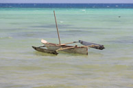 Kizimkazi Dimbani / Zanzibar - Septembre 2013